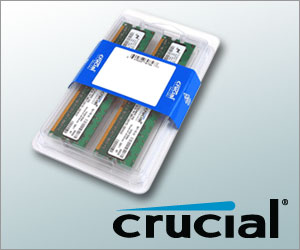 crucial memory